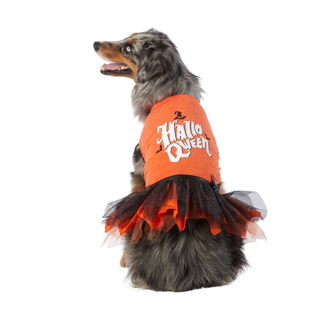Orange Hallo Queen Dog Tutu Costume